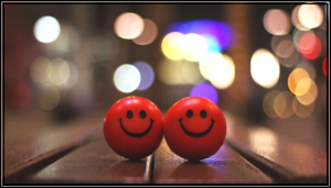 boletim_fevereiro_davidrowe_2020